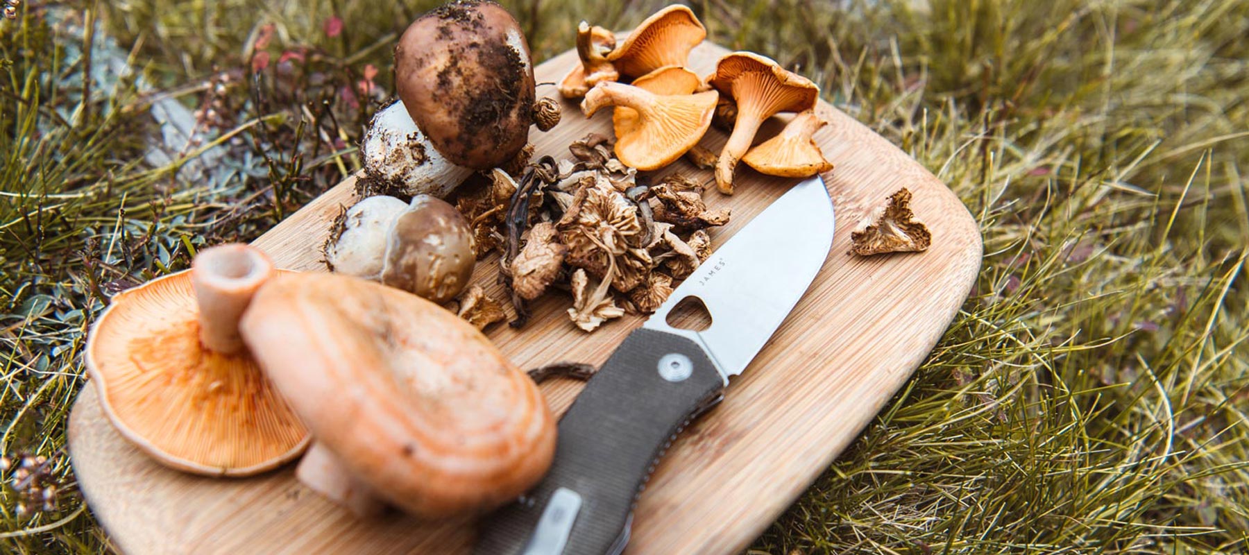 1. Rezept: Waldpilzsuppe