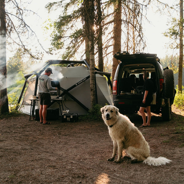 CLOUDBREAK; Black/Green